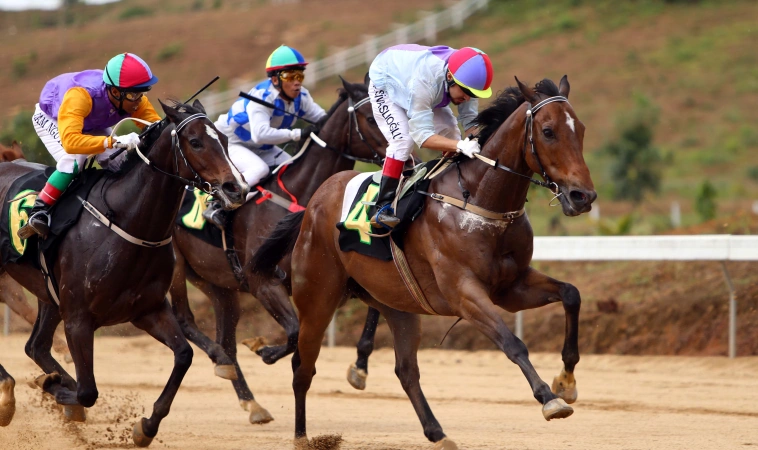 Khám Phá Đua Ngựa Vinbet: Trải Nghiệm Cá Cược Hấp Dẫn Nhất 4 Khám Phá Đua Ngựa Vinbet: Trải Nghiệm Cá Cược Hấp Dẫn Nhất