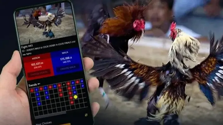 Đá Gà BossFun: Làm Giàu Nhanh Chóng Hay Cạm Bẫy 2 Đá Gà BossFun: Làm Giàu Nhanh Chóng Hay Cạm Bẫy