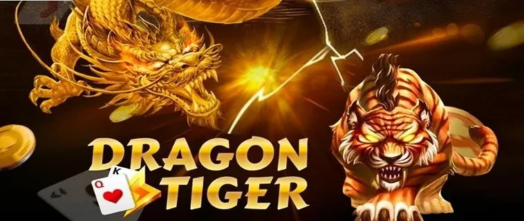 Trò Chơi Dragon Tiger Tại ManClub Hấp Dẫn Người Chơi Mọi Lứa Tuổi