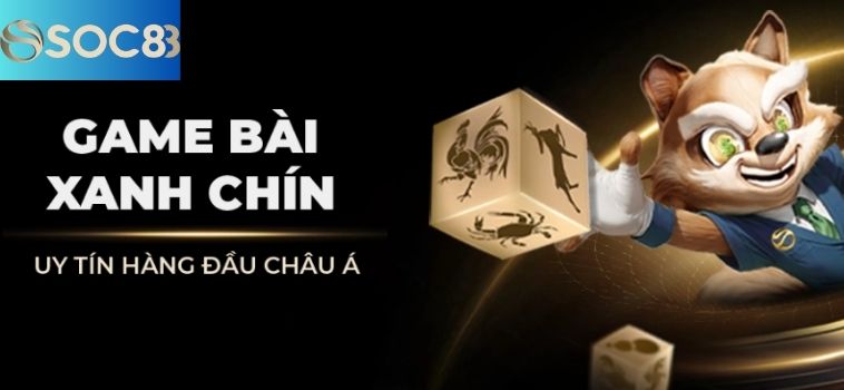 Chia Sẻ Hướng Dẫn Cá Cược Soc88 Cho Người Mới Bắt Đầu 3 6
