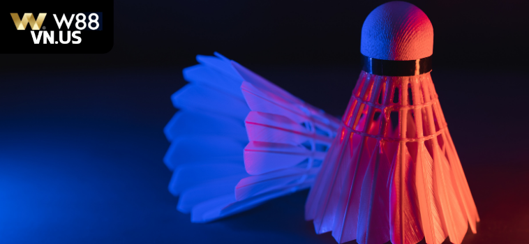 Cá Cược Cầu Lông W88: Tìm Hiểu Bí Quyết Thắng Lớn Đổi Đời 5 ca cuoc cau long w88