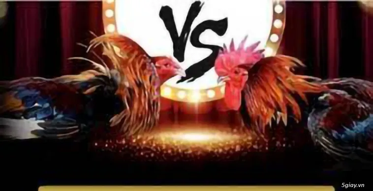 Đá Gà F8BET: Bí Quyết Thắng Lớn Cho Dân Cá Cược 2 Đá Gà F8BET: Bí Quyết Thắng Lớn Cho Dân Cá Cược