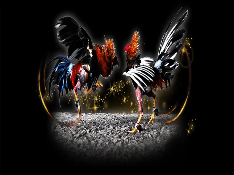 Khám Phá Đá Gà J88: Thế Giới Giải Trí Trực Tuyến Đỉnh Cao