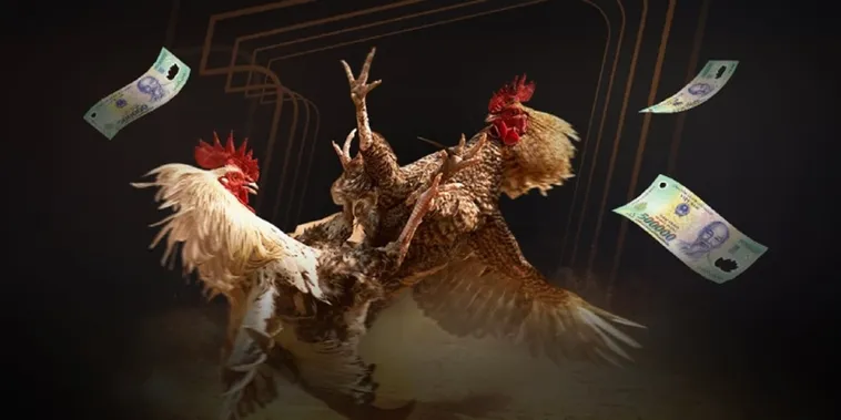 Khám Phá Thế Giới Đá Gà Bet88: Đỉnh Cao Giải Trí Trực Tuyến