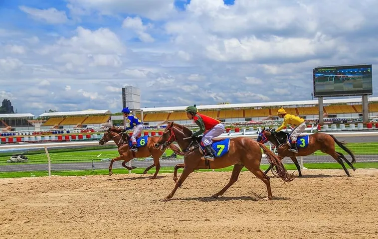 Khám Phá Cá Cược Đua Ngựa PG88: Tựa Game Giải Trí Đỉnh Cao Năm 2025 2 Khám Phá Cá Cược Đua Ngựa PG88: Tựa Game Giải Trí Đỉnh Cao Năm 2025